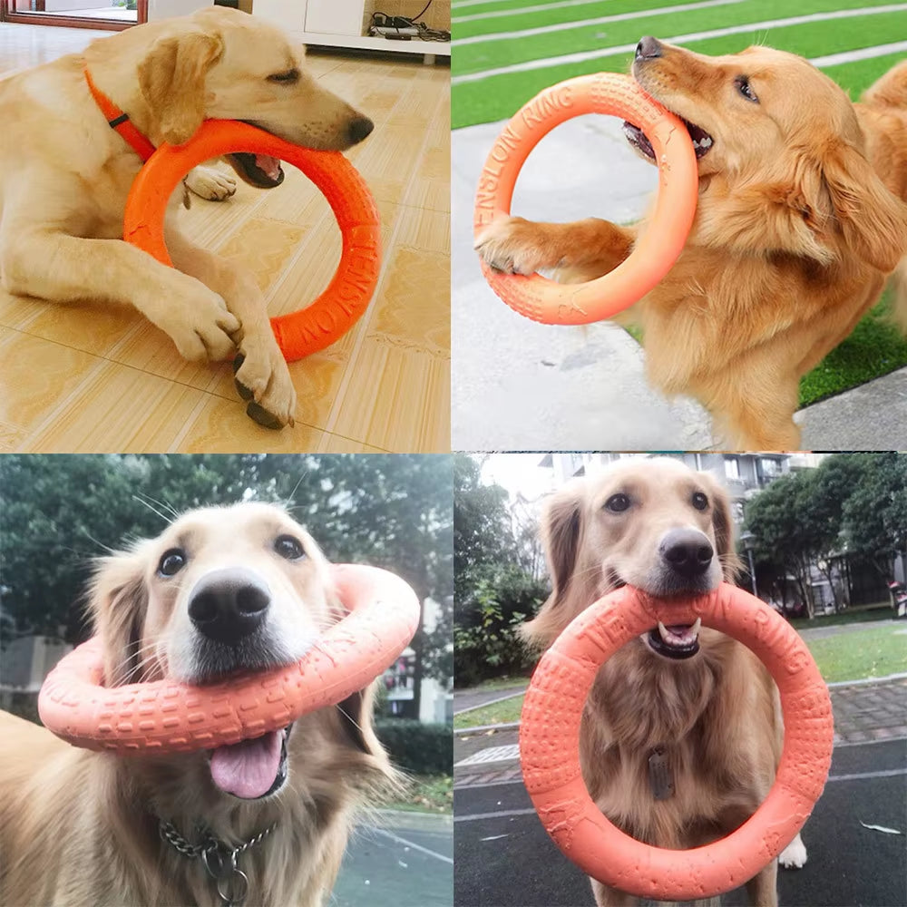 Durable Floating Dog Training Ring