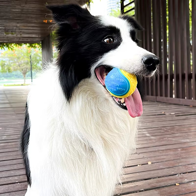 Interactive Squeaky Teething Chew Ball