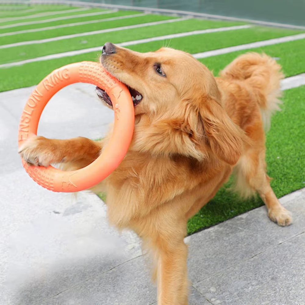 Durable Floating Dog Training Ring