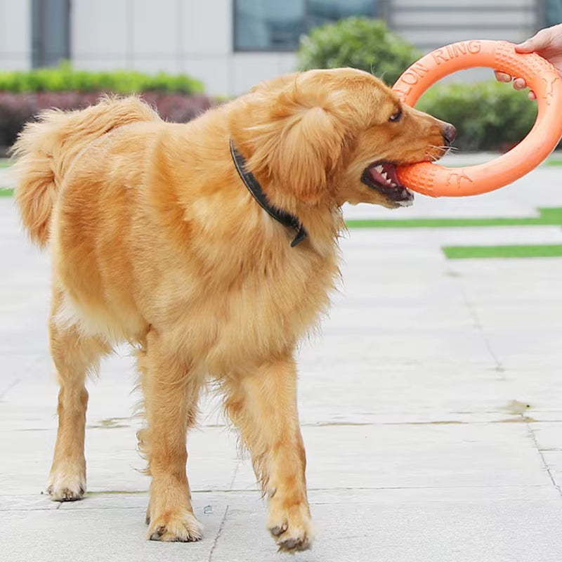 Durable Floating Dog Training Ring