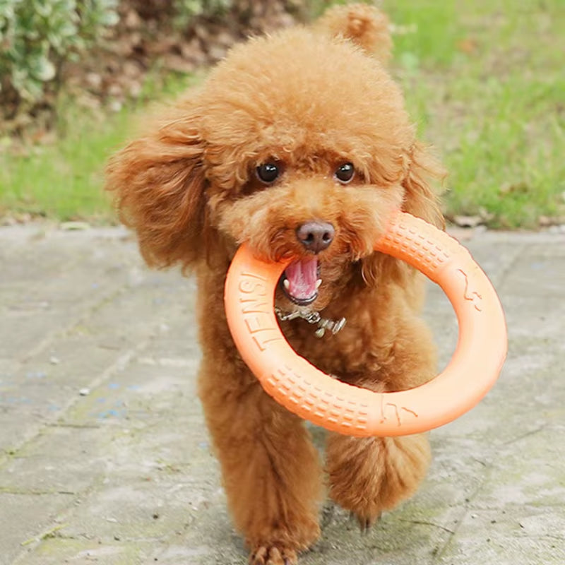 Durable Floating Dog Training Ring