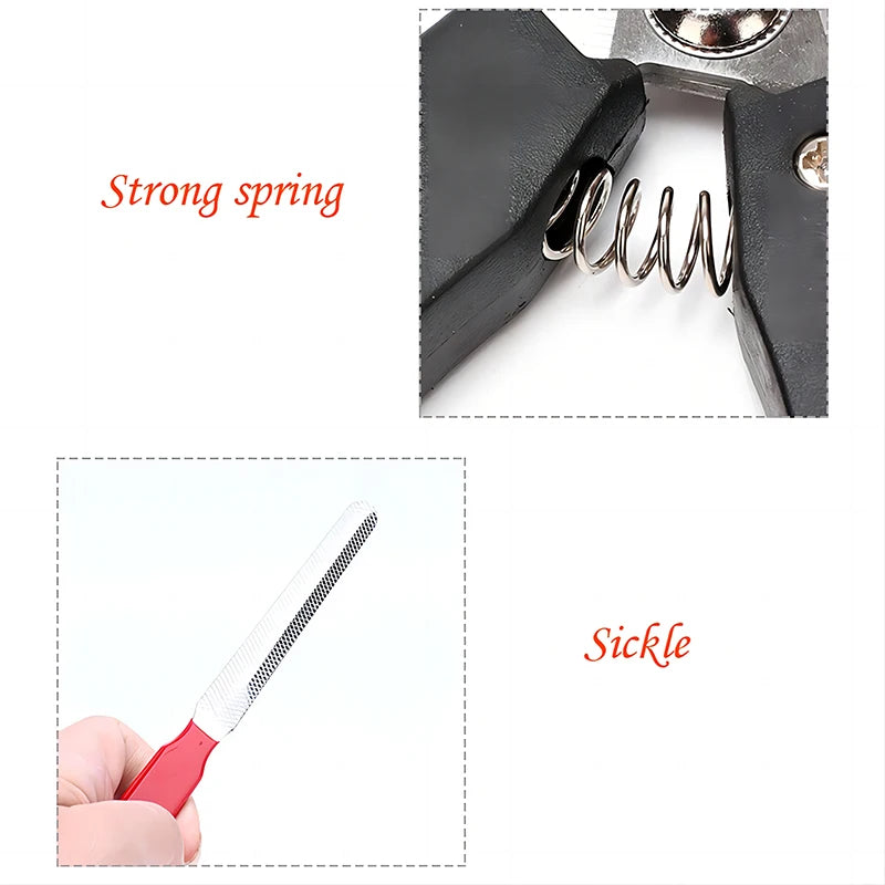 Professional Stainless Steel Pet Nail Clippers